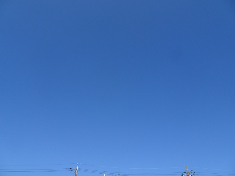 DSC03568