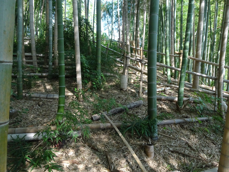 DSC04066