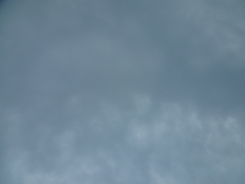 DSC00720