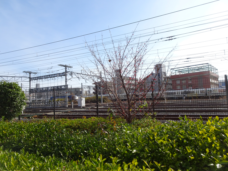 DSC03311