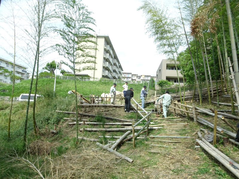 DSC09008 (1)