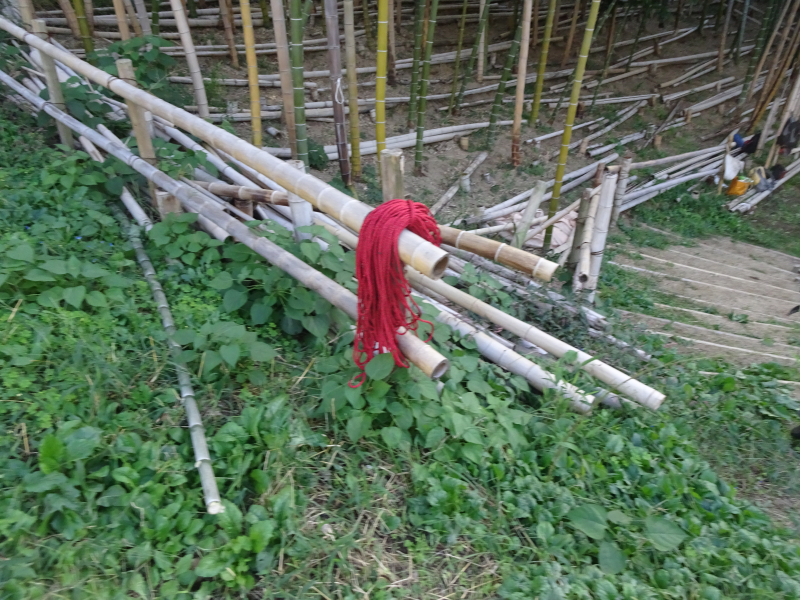 DSC08295