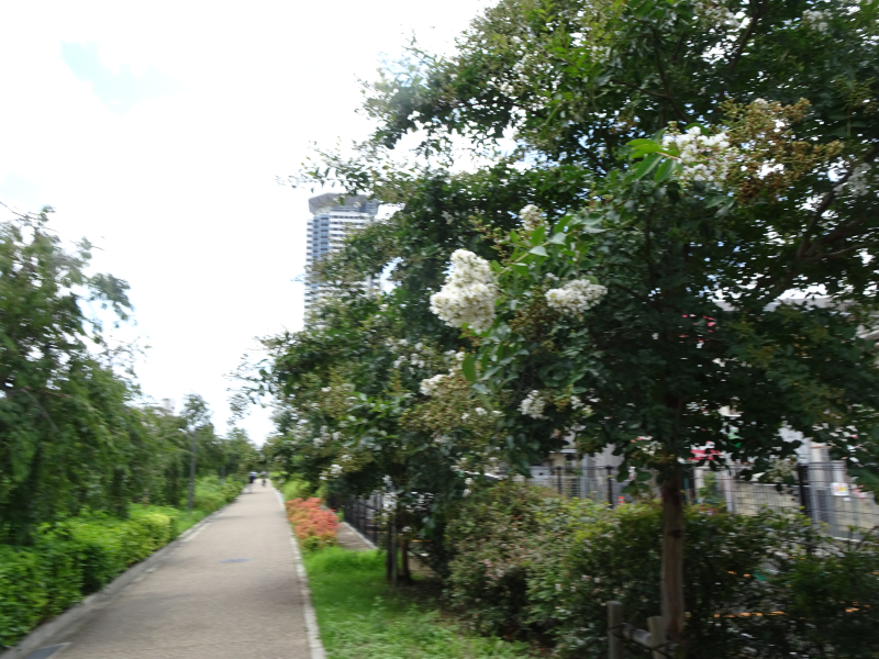 DSC00473 DSC00473