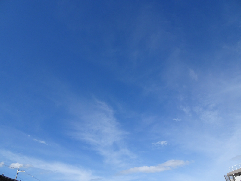 DSC06520