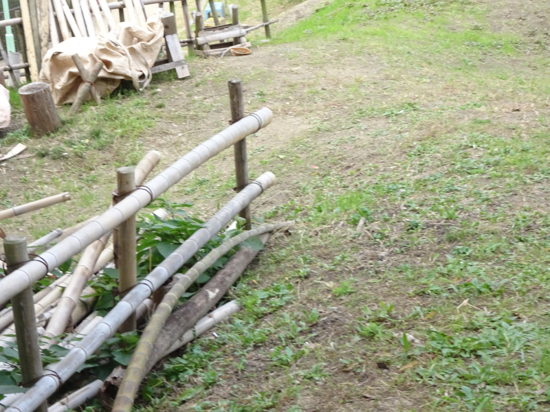 DSC02736