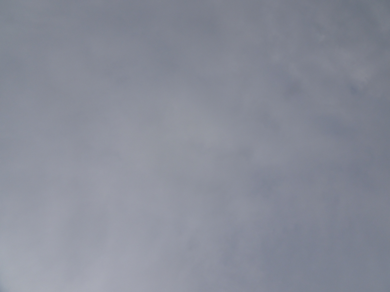 DSC01891