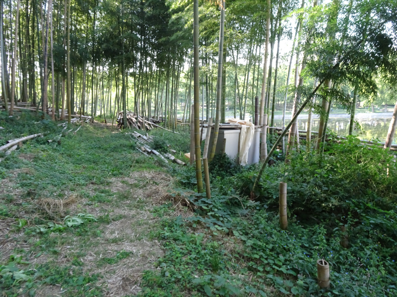 DSC03985