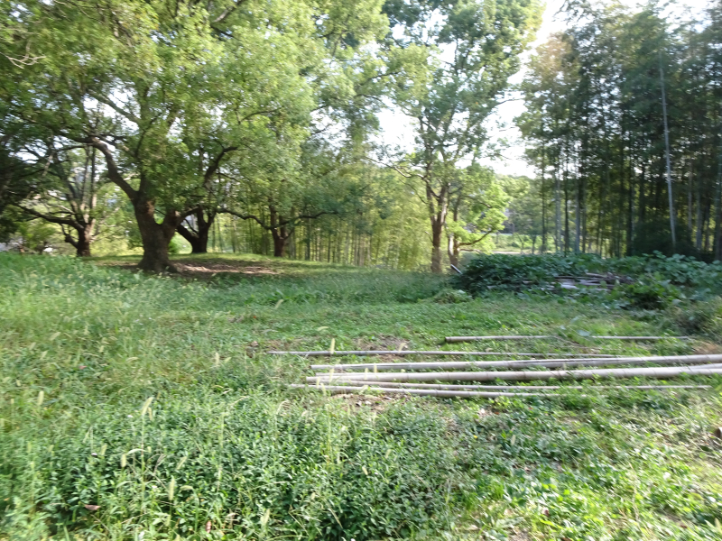 DSC08315