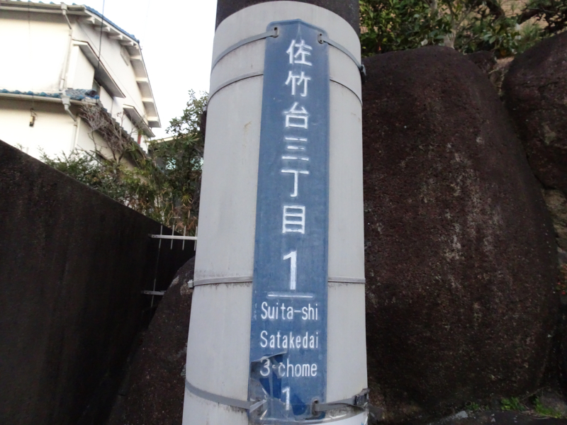 DSC09687