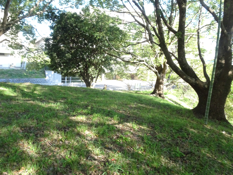 DSC06158