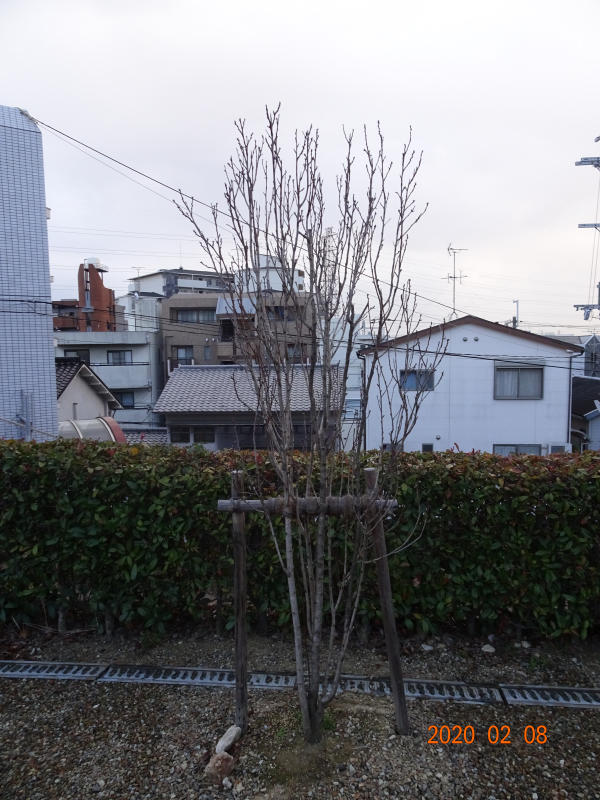DSC00912