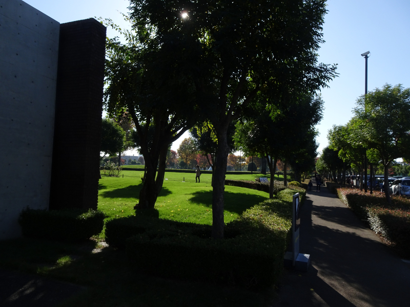 DSC03095