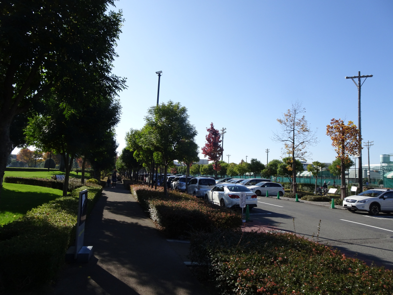 DSC03095