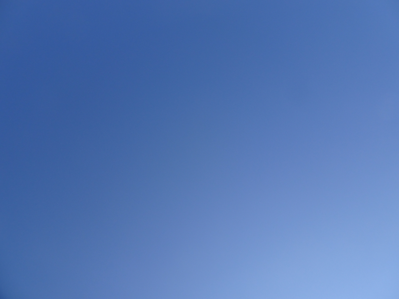 DSC00486