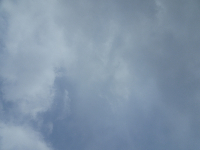 DSC03316
