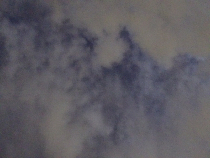 DSC07535