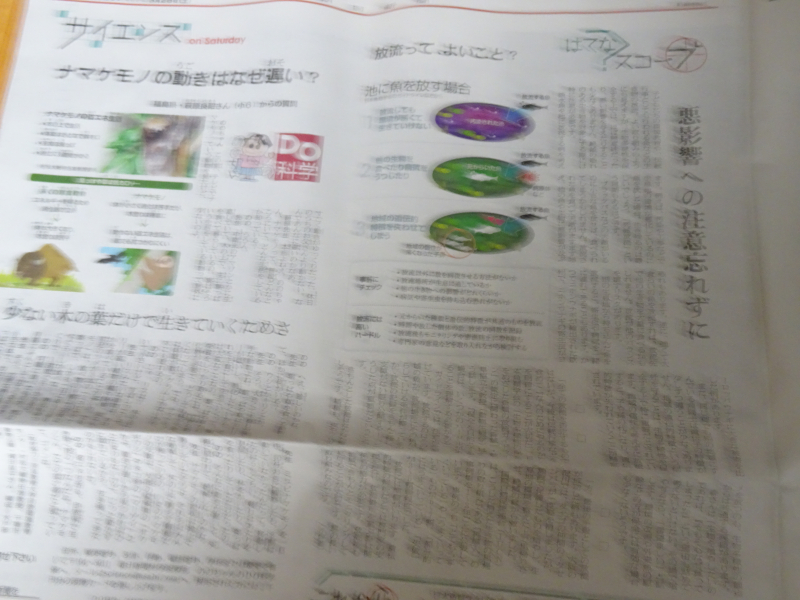 DSC01726 DSC01726