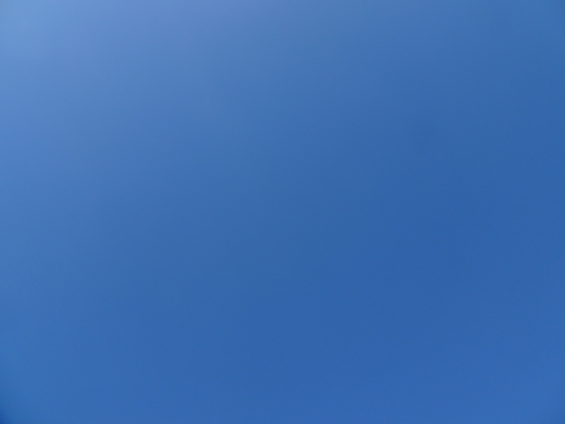 DSC09324