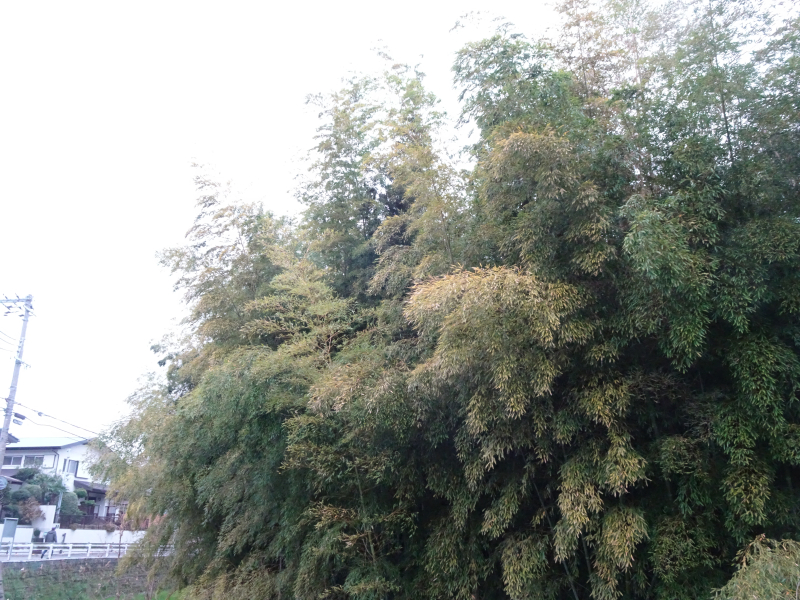 DSC02103