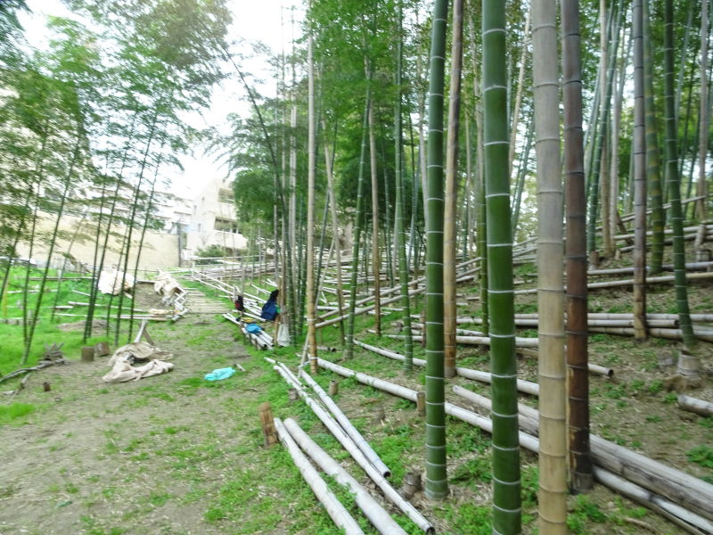 DSC08754