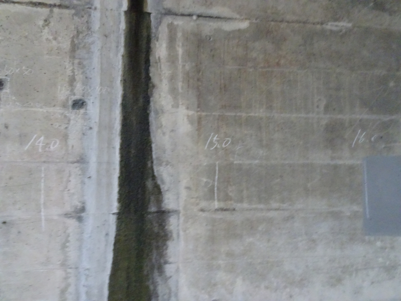 DSC06809