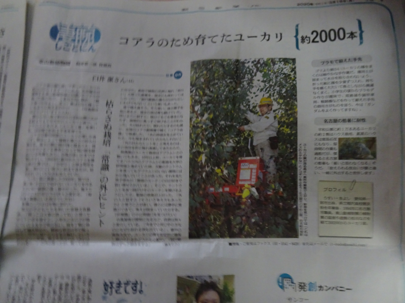 DSC07801 DSC07801