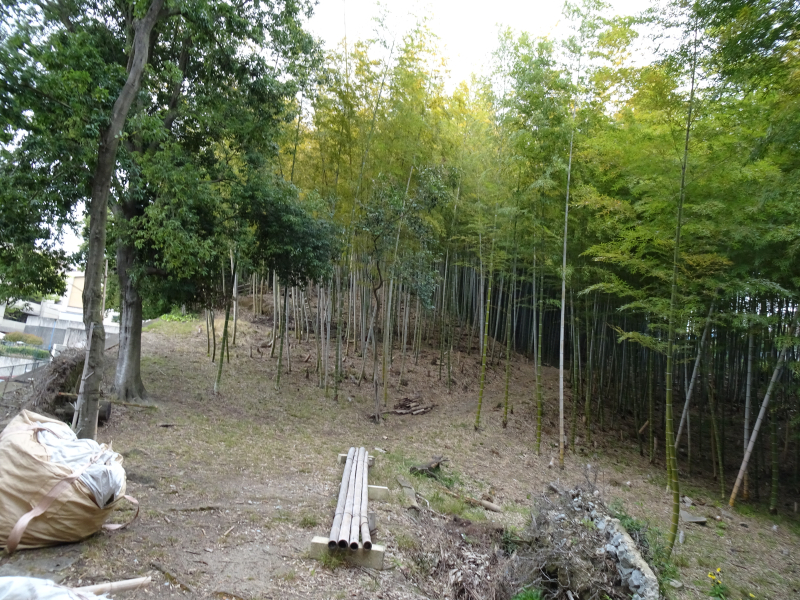 DSC03045