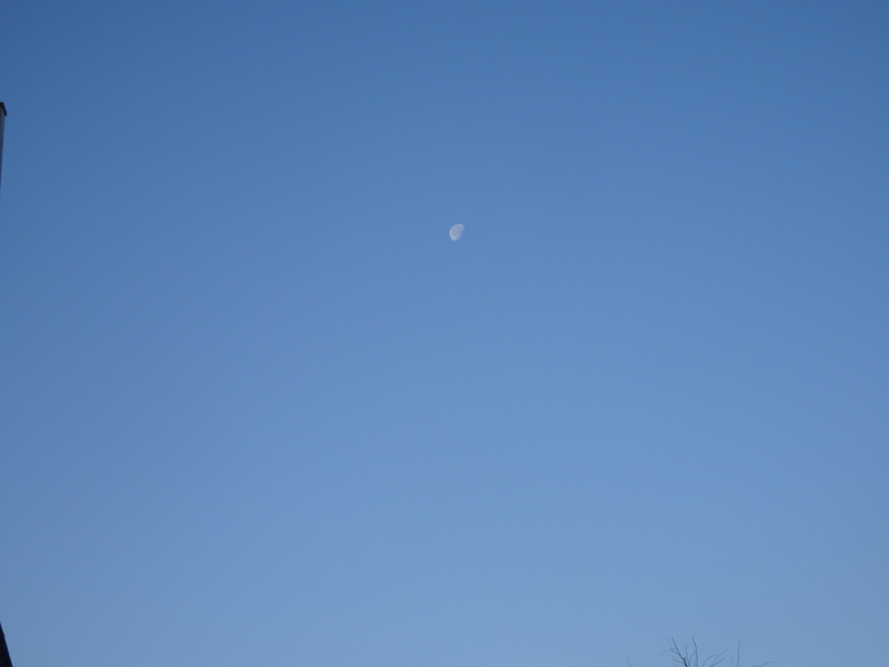 DSC01716