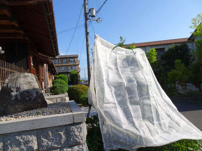 DSC01193