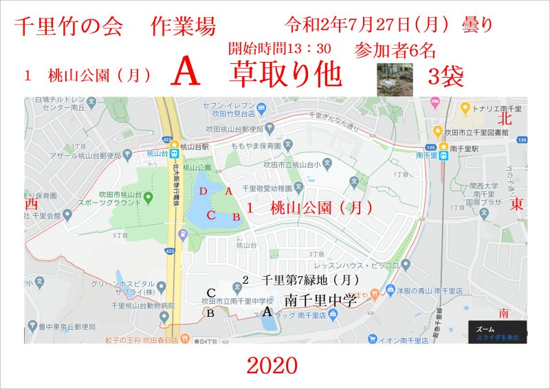 千里竹の会　ＰＤＦ写真　桃山公園　令和2年7月27日(月)