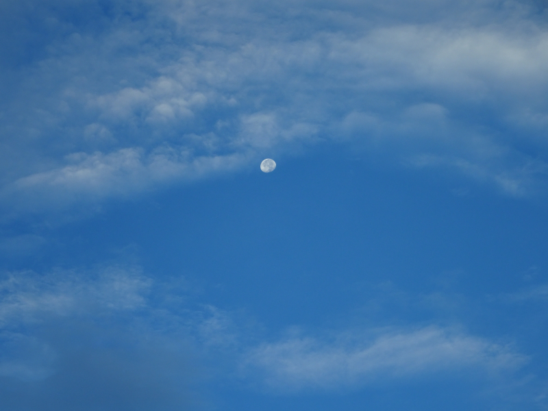 DSC07560