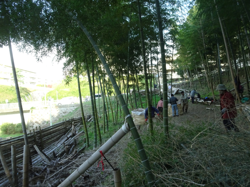 DSC08947