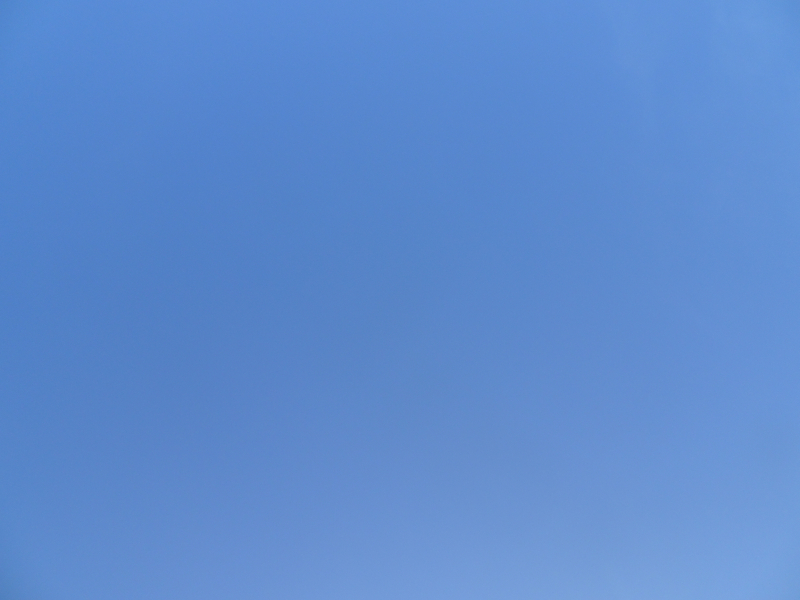 DSC01824