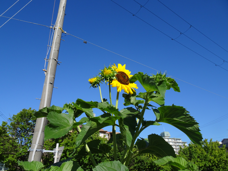 DSC01462
