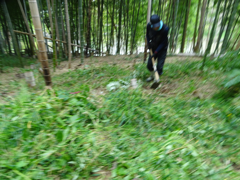 DSC03734