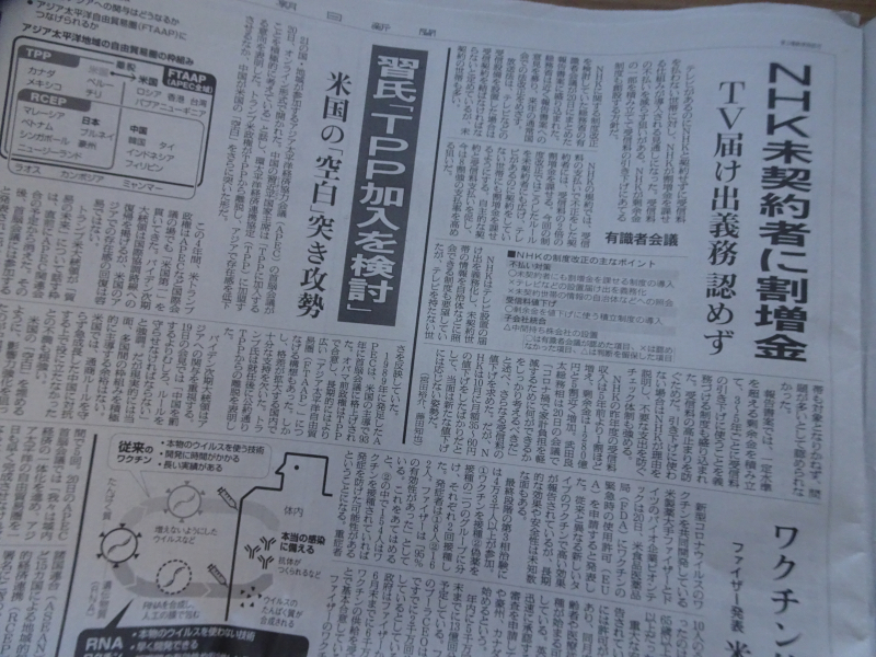 DSC01286 DSC01286