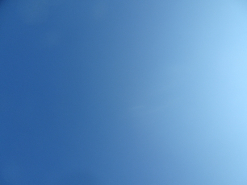 DSC01961