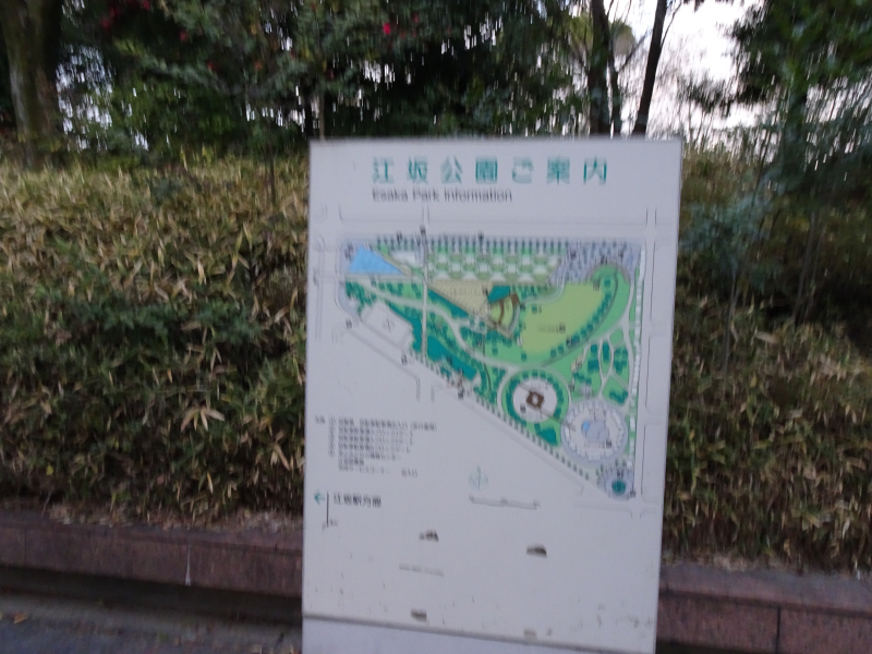 DSC06284