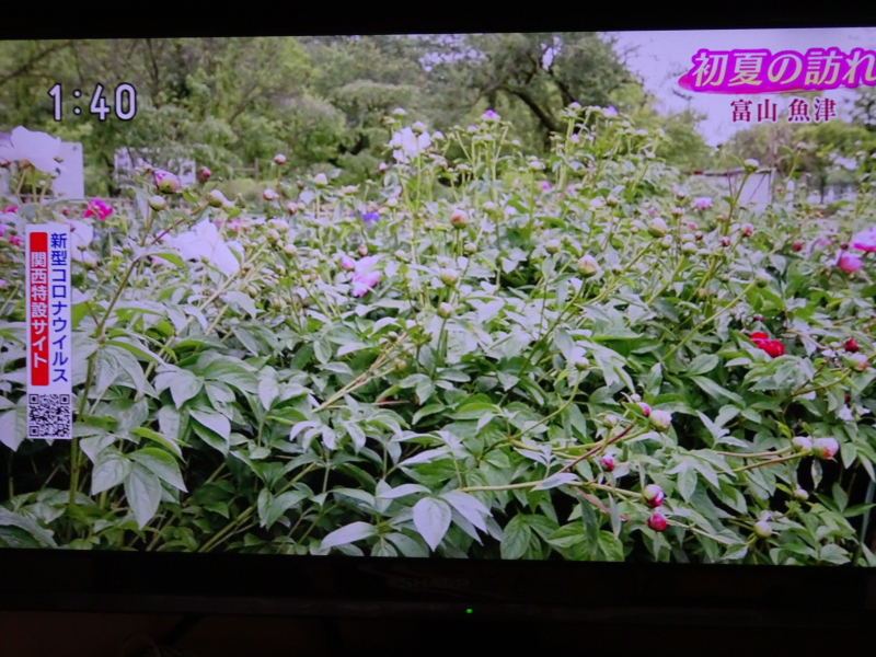 DSC05564