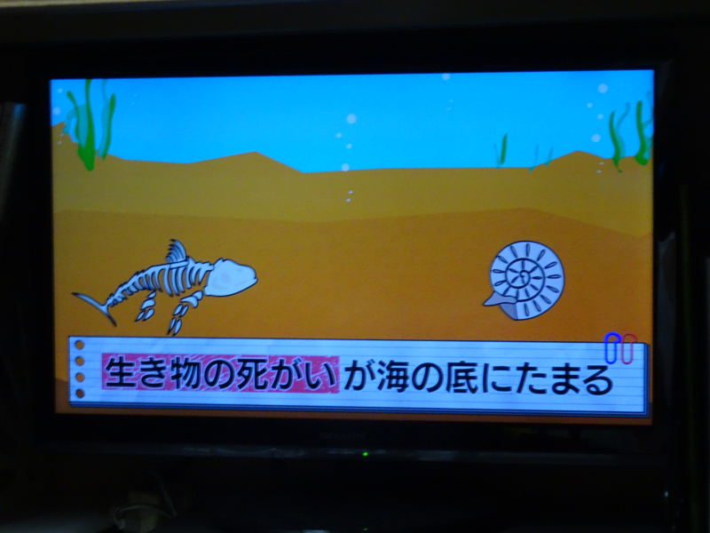 DSC07020