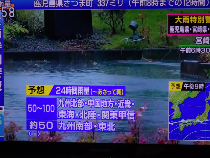 DSC02518