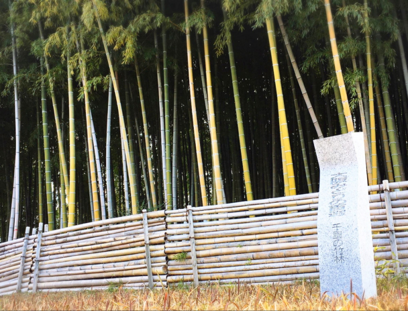Momoyama-park8 Momoyama-park8