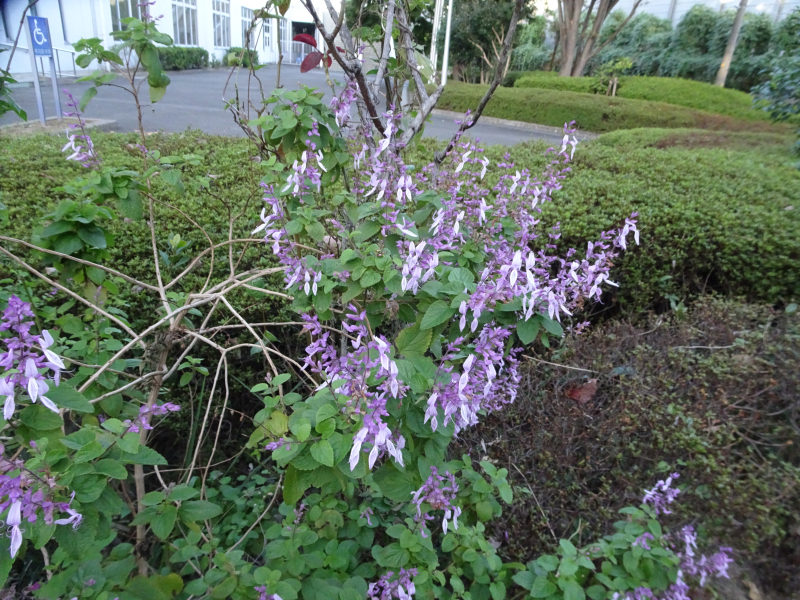 DSC04059