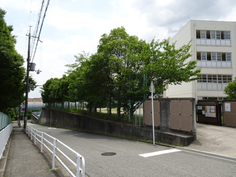 DSC03527