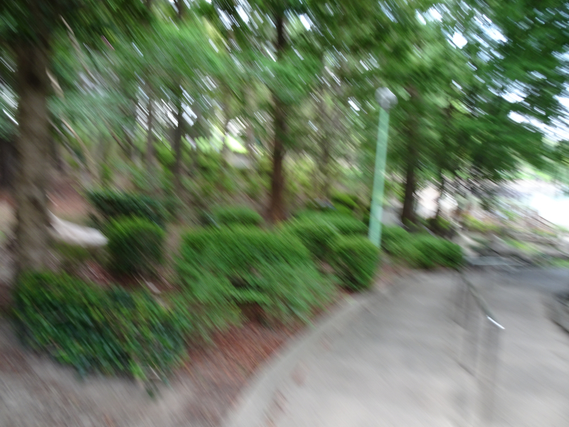DSC08847