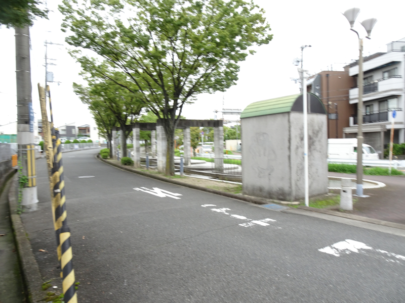 DSC06089