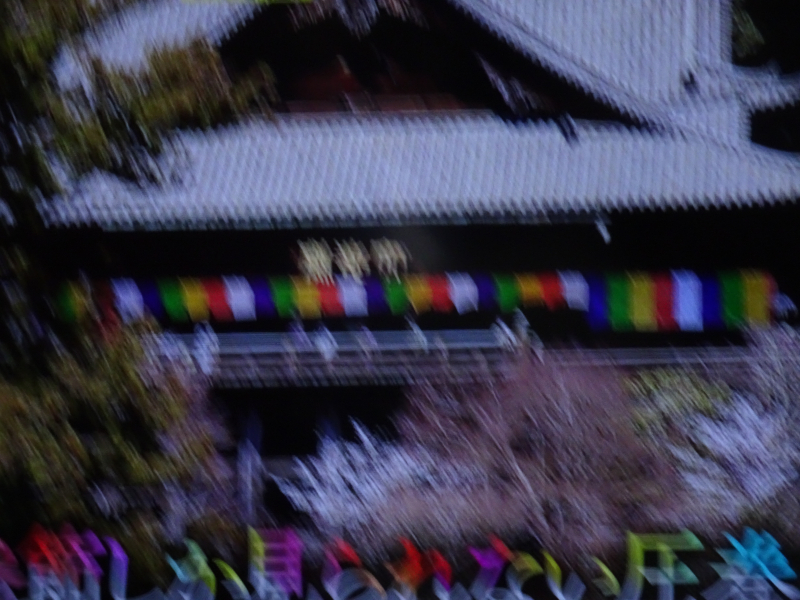DSC09835