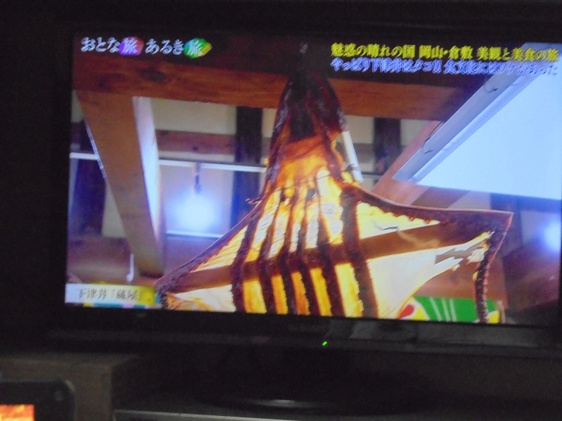 DSC02238