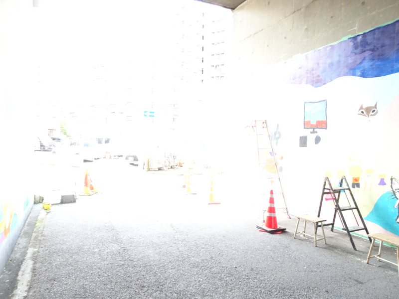 DSC03051