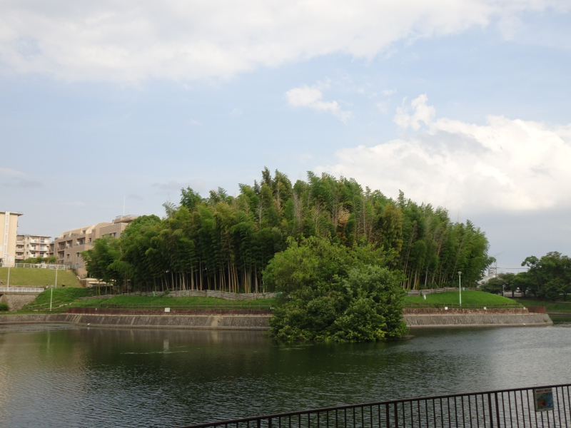 DSC09034